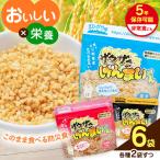 ザクザクげんまいくん3種セット 塩 梅 カレー2袋ずつ 合計6…