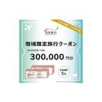 日本旅行 地域 旅行クーポン300 000円分