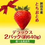 いちご とちおとめ デラックス 2パック