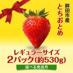 いちご とちおとめ レギュラーサイズ 2パック