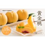 ふるさと納税 桃 2026年 先行予約 黄金桃 等級 エース 約1.5kg 5〜7玉入り もも モモ 岡山 国産 フルーツ 果物 桃茂実苑 岡山県玉野市