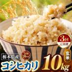 令和8年度産 こしひかり 玄米 約10kg