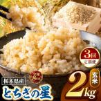 令和8年度産 とちぎの星 玄米 約2kg