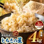 令和8年度産 とちぎの星 玄米 約4kg
