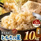 令和8年度産 とちぎの星 玄米 約10kg