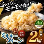 令和8年度産 ミルキークイーン 玄米 約2kg