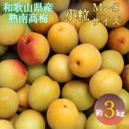 紀州 熟南高梅 生うめ 優品 約3kg