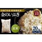 玄米 特別栽培米 金のいぶき 20kg