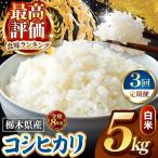 令和8年度産 こしひかり 白米 約5kg