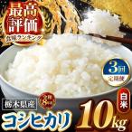 令和8年度産 こしひかり 白米 約10kg