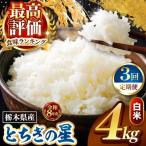 令和8年度産 とちぎの星 白米 約4kg