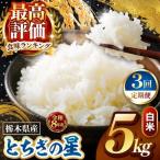 令和8年度産 とちぎの星 白米 約5kg