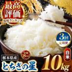 令和8年度産 とちぎの星 白米 約10kg