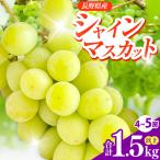 信州伊那産ぶどう シャインマスカット 1.5kg