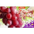 信州伊那産ぶどう クイーンルージュ R 1.5kg以上