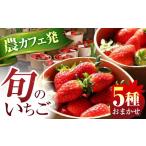 発送月が いちご 5品種 おまかせ 食べ比べセット