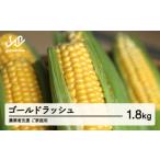 fu.... налог { предшествующий предварительный заказ }2026 год Yamagata префектура производство сельское хозяйство торговец поддержка . для бытового использования Gold Rush 1.8kg кукуруза кукуруза кукуруза лето овощи ...*.. Yamagata префектура гора сторона блок 