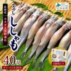 産生干ししゃもセット メス オス各20尾