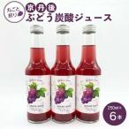 京丹後のぶどう炭酸ジュース ソーダ 小瓶6本入り