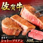 佐賀牛 シャトーブリアン 800g