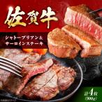 佐賀牛 シャトーブリアン サーロインステーキセット 計900g