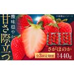 産イチゴ さがほのか 約440g