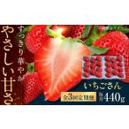 イチゴ いちごさん 約440g