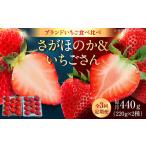 赤いちご食べ比べ定期便 毎月 約440g