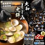 宍道湖産 冷凍大和しじみLサイズ2kg 500g×4