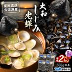 宍道湖産 冷凍大和しじみMサイズ2kg 500g×4