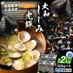 宍道湖産 冷凍大和しじみLサイズ2kg 500g×4