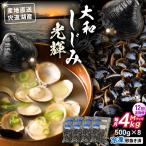 宍道湖産 冷凍大和しじみLサイズ4kg 500g×8