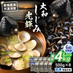 宍道湖産 冷凍大和しじみLサイズ4kg 500g×8