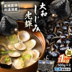 宍道湖産 冷凍大和しじみLサイズ1kg 500g×2