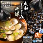 宍道湖産 冷凍大和しじみMサイズ1kg 500g×2