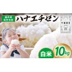 ショッピングふるさと納税 先行予約 ふるさと納税 先行予約 【令和8年産・新米】 坂井市産 ハナエチゼン 白米 10kg (中瀬農産) 2026年10月以降順次発送予定 精米 おこめ [A-20506] 福井県坂井市