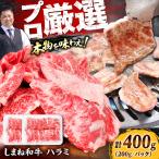 牛ハラミ 400g