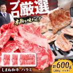 牛ハラミ 600g
