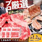 牛ハラミ 1.2kg