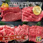 若狭牛 肉 定期便 12回 食べ比べ