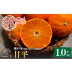 ふるさと納税 【先行予約】 甘平 家庭用 約1kg　4〜5玉 お試しサイズ Sから4Lサイズ混合 【2026年1月下旬から発送予定】 | 柑橘 みかん 蜜柑 果.. 愛媛県松山市