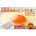 加藤養鶏場のピンクたまご M~Lサイズ