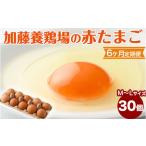 たまご 加藤養鶏場の赤たまご M~Lサイズ 30個