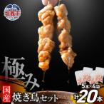 焼き鳥 極みの焼き鳥セット 20本
