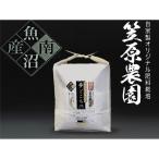 栽培期間中農薬不使用 笠原農園米 夢ごこち 5kg
