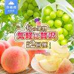 2回定期便 旬のフルーツ定期便 桃1kg