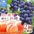 2回定期便 旬のフルーツ定期便 桃1kg