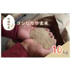 コシヒカリ 10kg