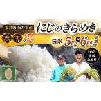 ショッピングふるさと納税 先行予約 ふるさと納税 【先行予約】【令和8年産・新米】 定期便 ≪6ヶ月連続お届け≫ 坂井市産 にじのきらめき 白米 5kg×6回 計30kg (田中農園) 【2.. 福井県坂井市