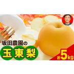 ふるさと納税 『坂田農園』の玉東梨 期間限定 予約受付中 約5kg《8月中旬-9月末頃出荷》 熊本県玉名郡玉東町産『坂田農園』|ブランド梨 人気梨 .. 熊本県玉東町